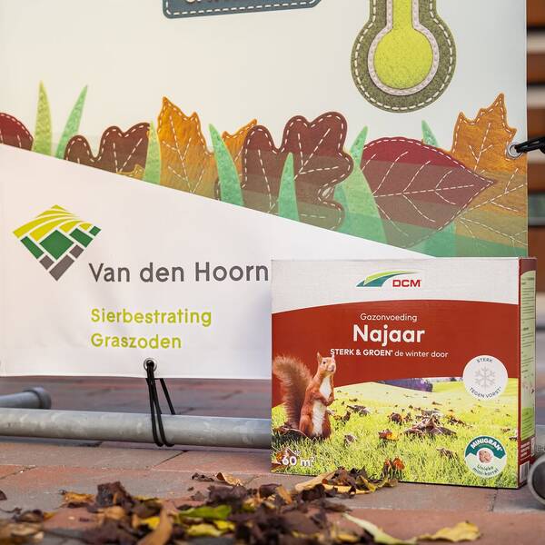 Versterk je gazon voor de winter