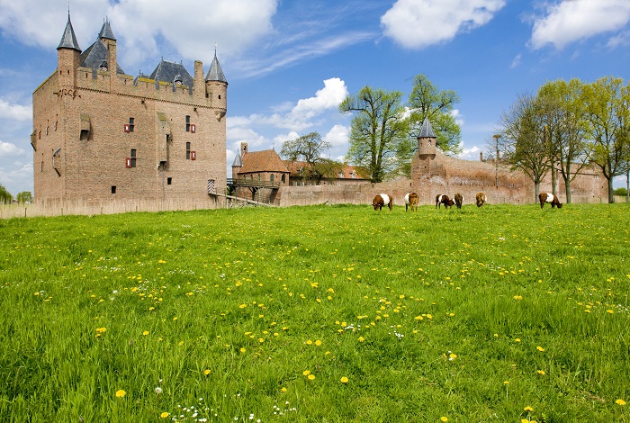π§± Bezoek aan Wiecherink Bouwmaterialen in Gendt? Ontdek wat je daarna kunt doen in de omgeving!