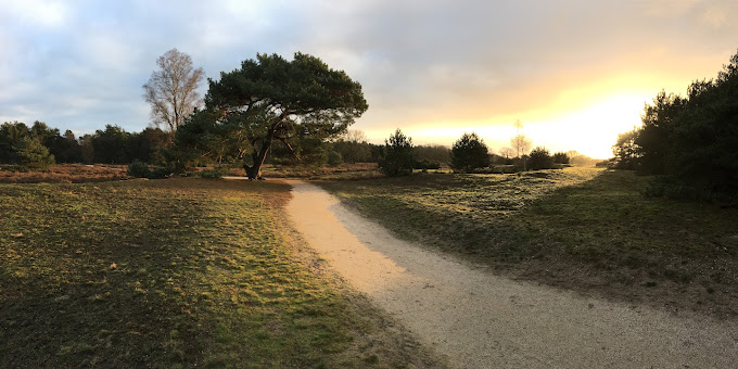 Na een bezoek aan Tegelhandel van der Rijt zijn er leuke activiteiten die je kunt ondernemen.