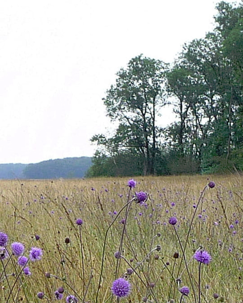 Tegels in regio Arnhem