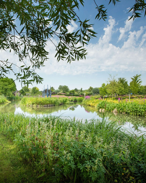 Tegels uit het Land van Maas en Waal