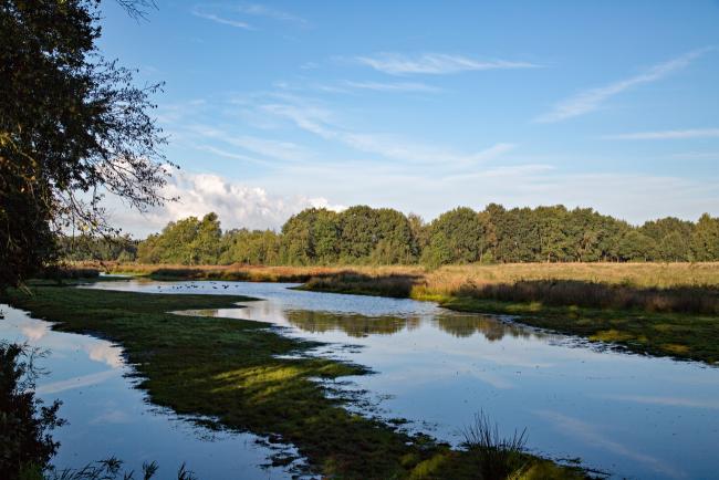 Rijsbergen biedt verschillende leuke activiteiten en bezienswaardigheden die je kunt verkennen.