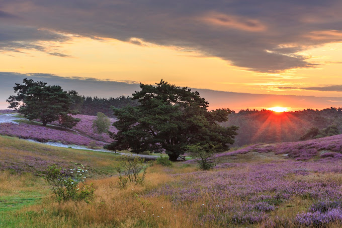 Wat te doen in Heerlen na je bezoek aan Eurotegel? Ontdek de verborgen parels van Zuid-Limburg!