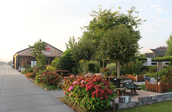 Voordelen bij Steenplaza: