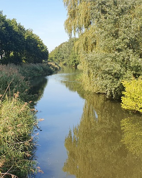 Raamsdonksveer en de Donge