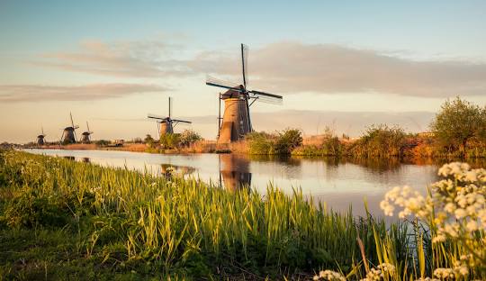 🌿 Wat te doen na je bezoek aan Tegelhandel Boer? Ontdek de parels van de Alblasserwaard!