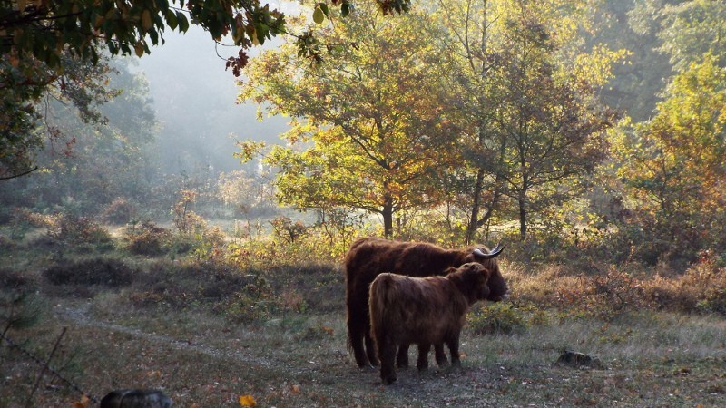 Tienray biedt verschillende leuke activiteiten na een bezoek aan Tegel & Sanitair Outlet Tienray B.V