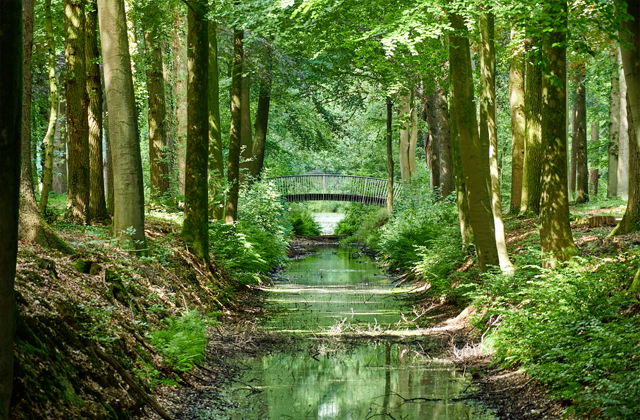 Ommen en Omgeving