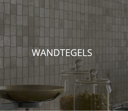 TEGELACTIE